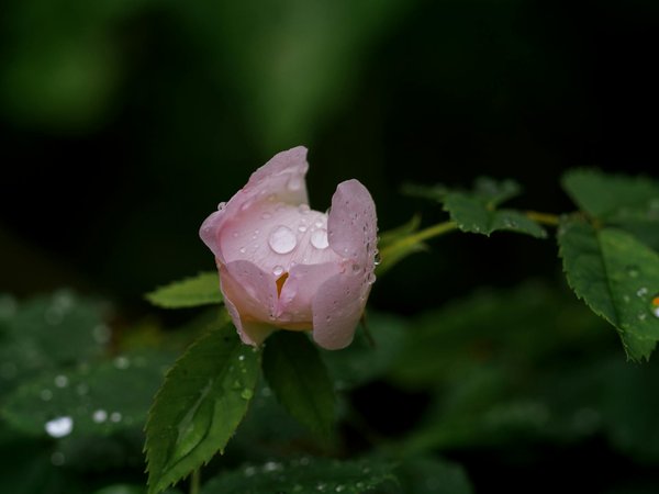 Entretien climatisation toulouse : optimisez votre confort efficacement