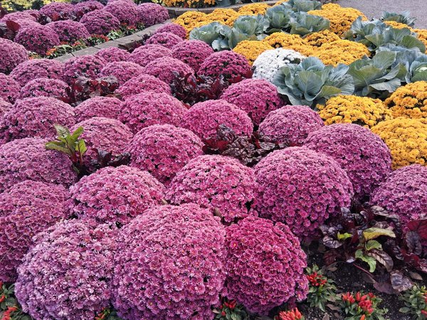 Découvrez comment choisir le meilleur parasol décentré pour votre confort