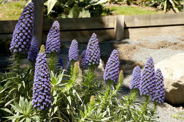 Optimisez votre confort avec une pompe à chaleur à pont l'Évêque