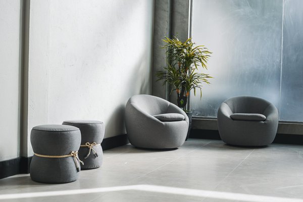 Déménagement avec un chat senior : Les astuces incontournables pour une transition réussie !