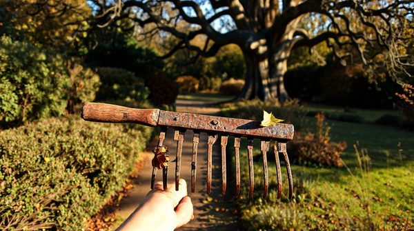 Guide pratique pour utiliser le ramasse noix dans votre jardin